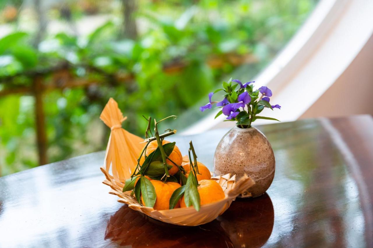 Binh Minh Eco Lodge Can Tho Bagian luar foto